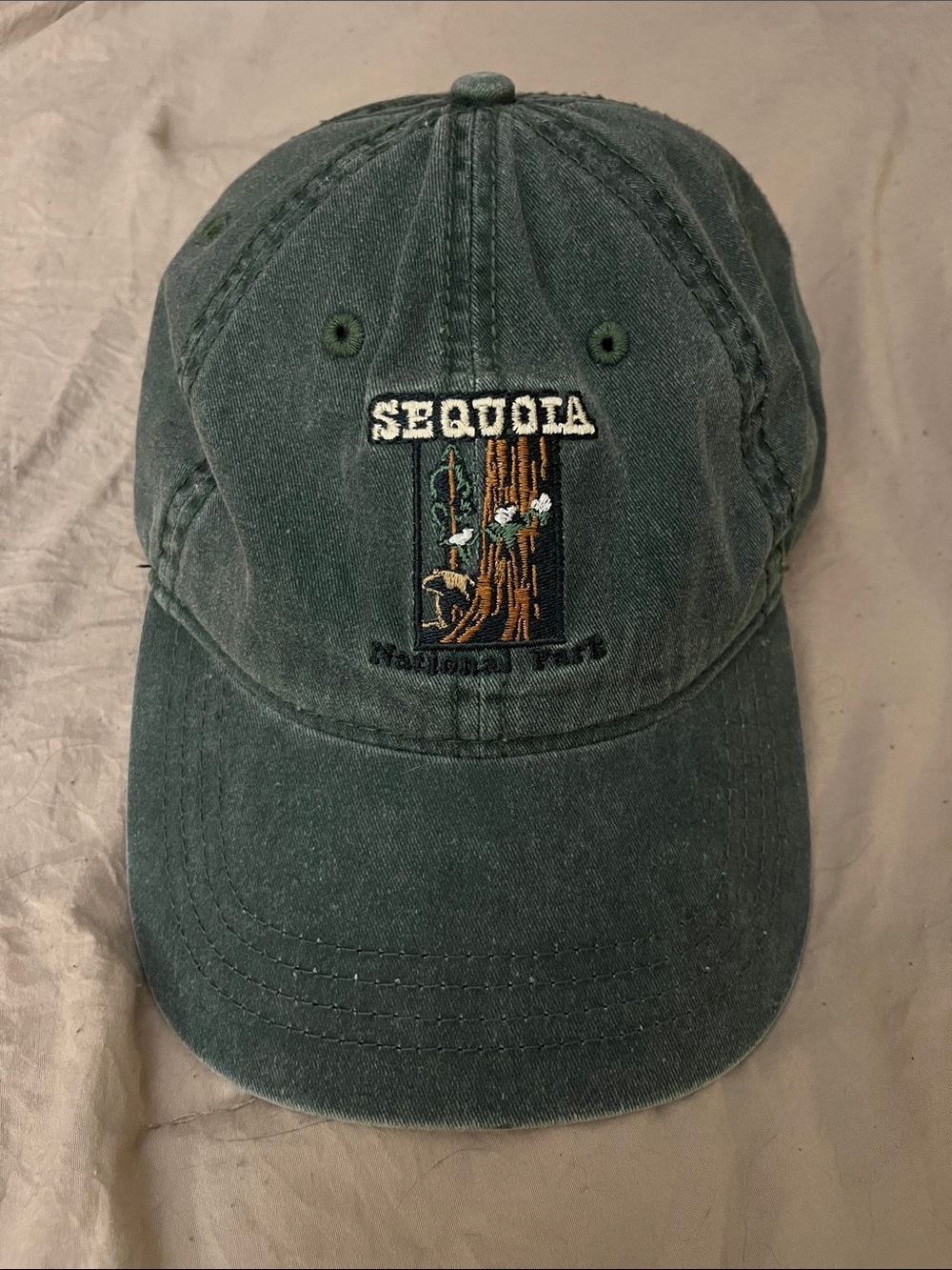 Aeropostale Dark Green Washed Baseball Cap